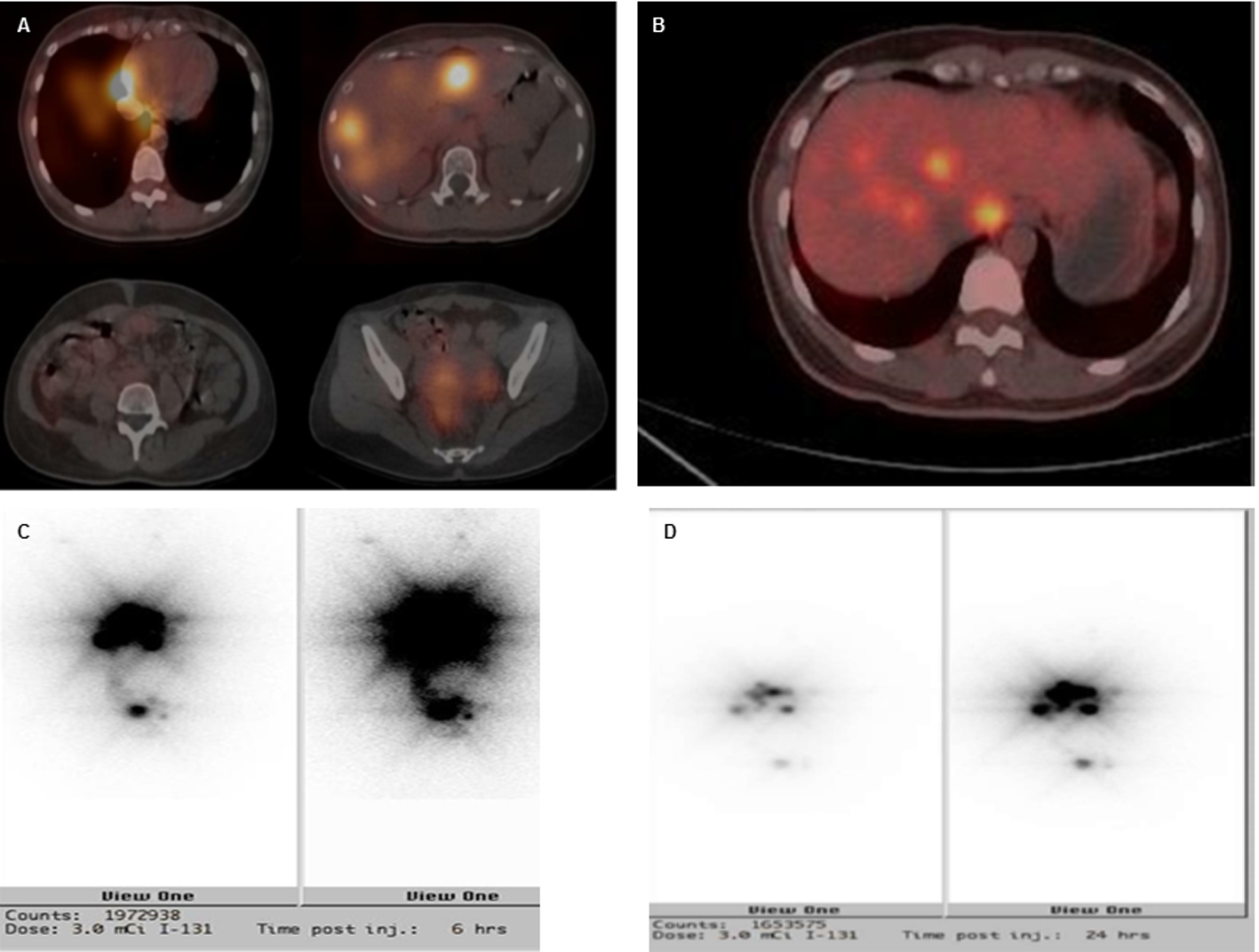 Figure 3. 