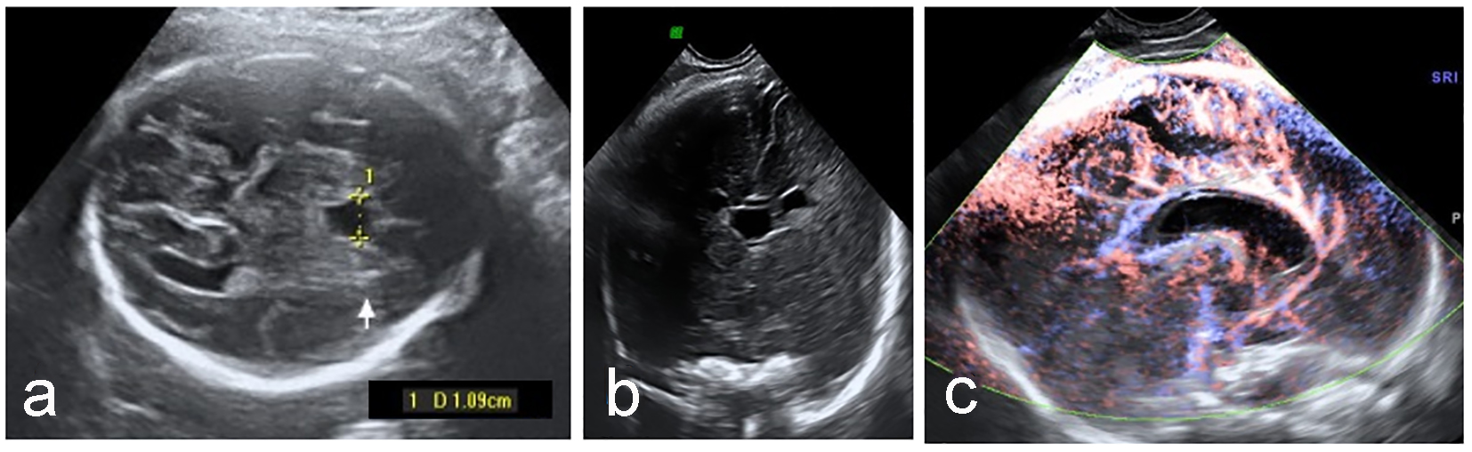 Figure 3. 