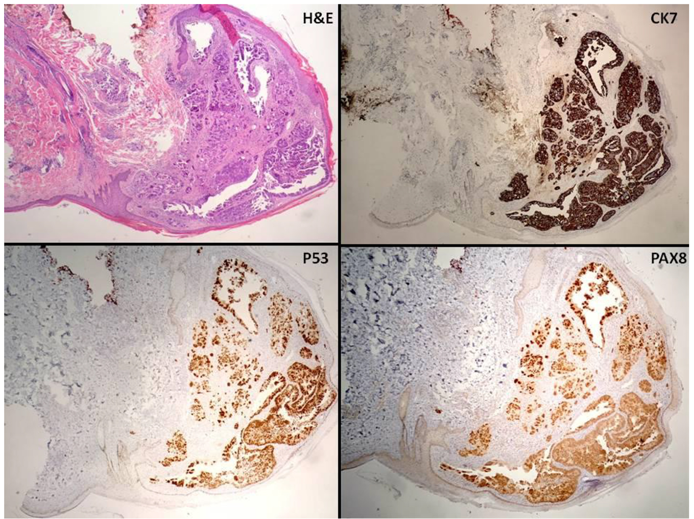 Figure 3. 